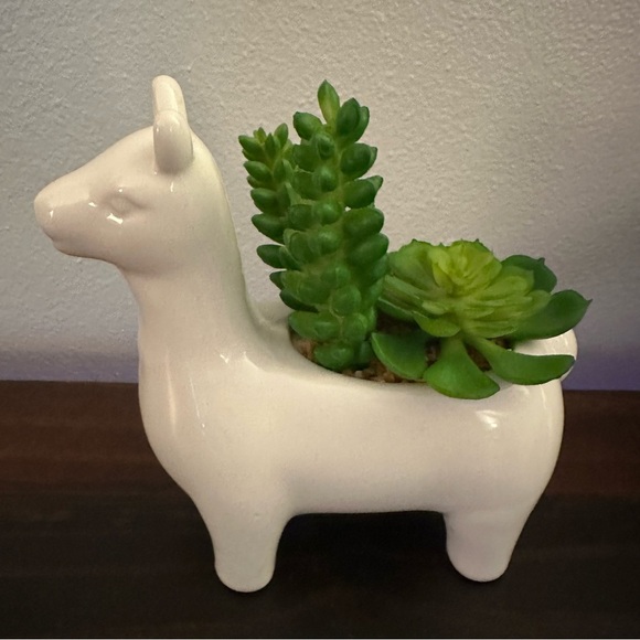 Llama Ceramic Succulent Planter & “Bloom with Grace” Wall Art 6.5x8.5 Set - Picture 4 of 4